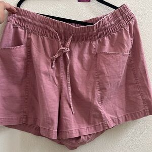 53. AVA & VIV PINK SHORTS 1x